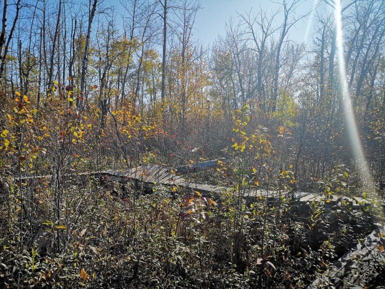 TrailTrek Howto West River’s Edge Loop River Valley Alliance