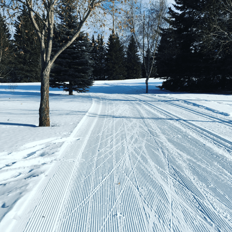 Winter Activity Series Skate skiing in the river valley River