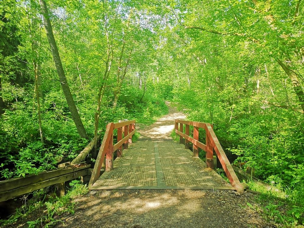 Trail Trek How-to: Mill Creek Ravine, the Mill Woods Edition - River ...