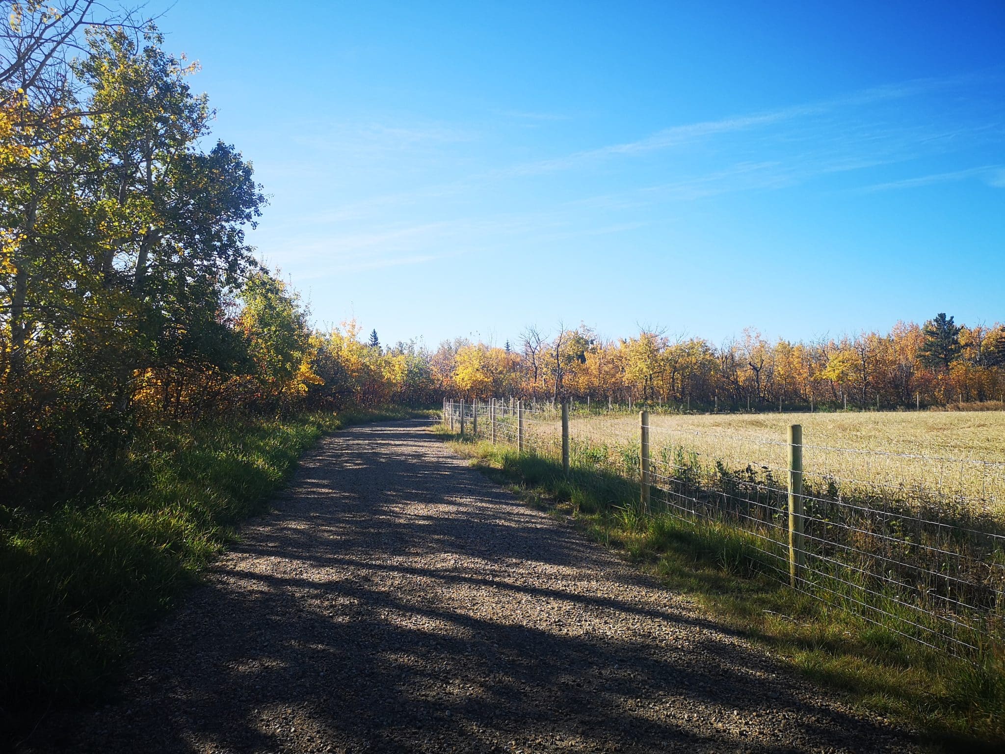 TrailTrek How-to: Devon Battery Creek Trail - River Valley Alliance