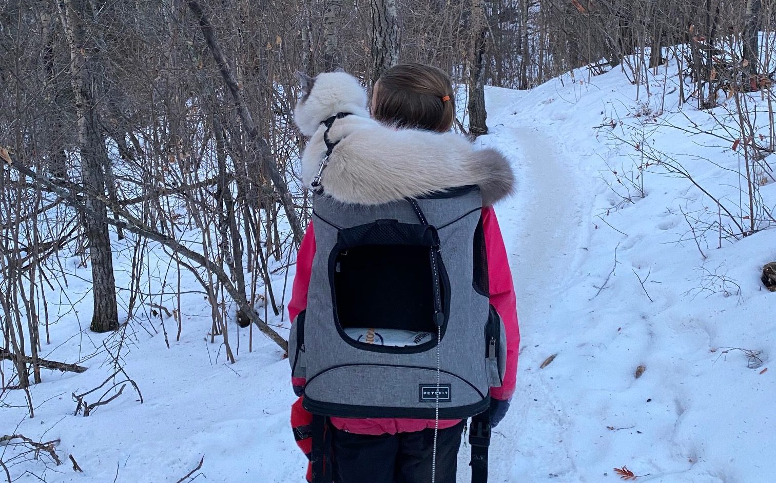Featured Image for “Enjoying the Trails with Your Little Ones and Furry Friends in All Seasons”